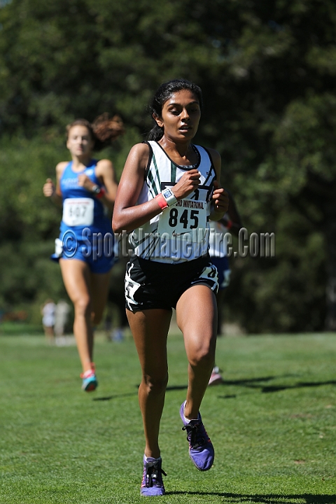 2015SIxcHSSeeded-272.JPG - 2015 Stanford Cross Country Invitational, September 26, Stanford Golf Course, Stanford, California.